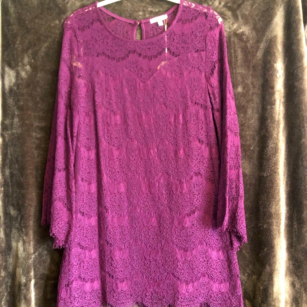 Jodifl lace dress